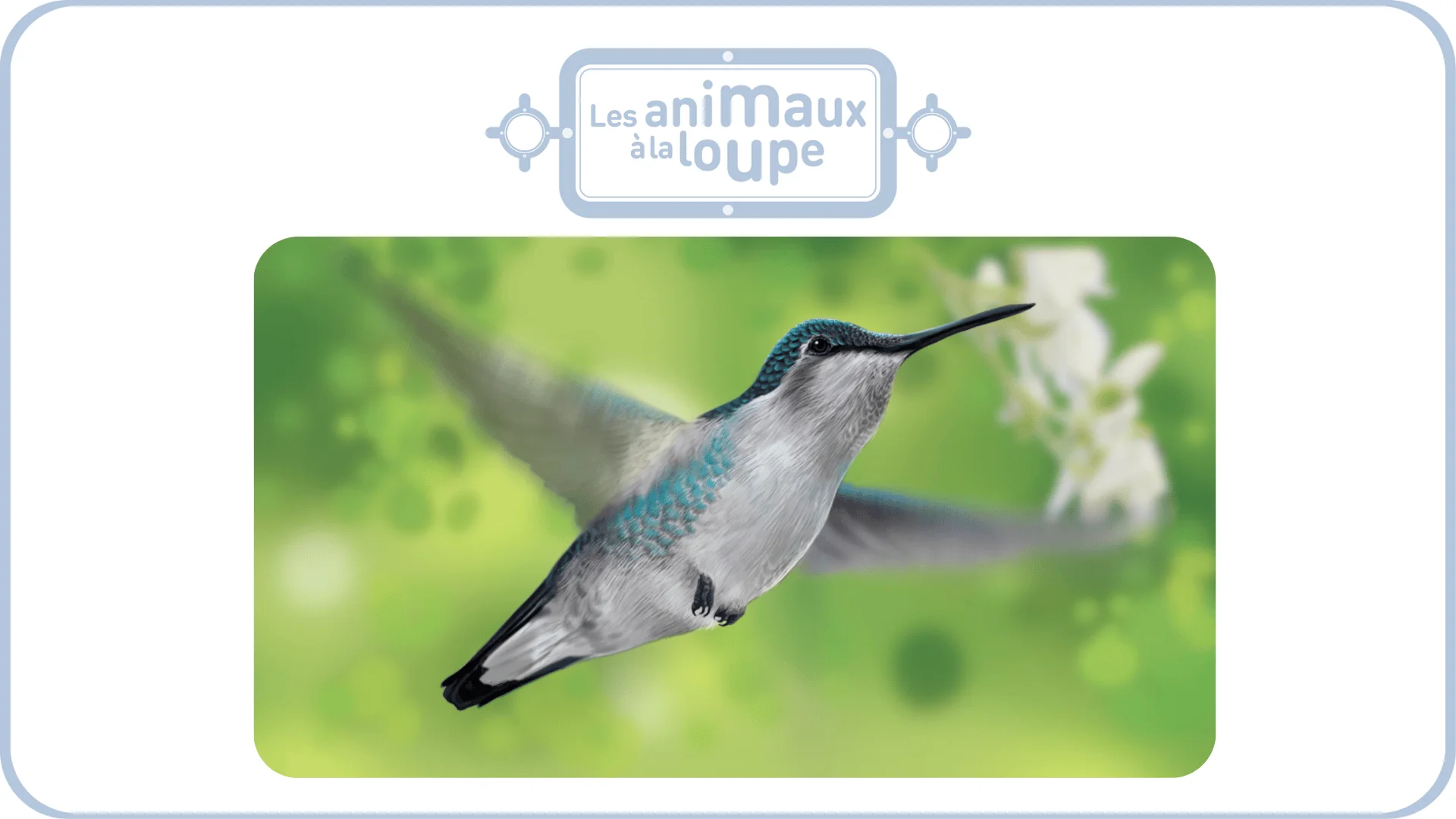 Miniature 4