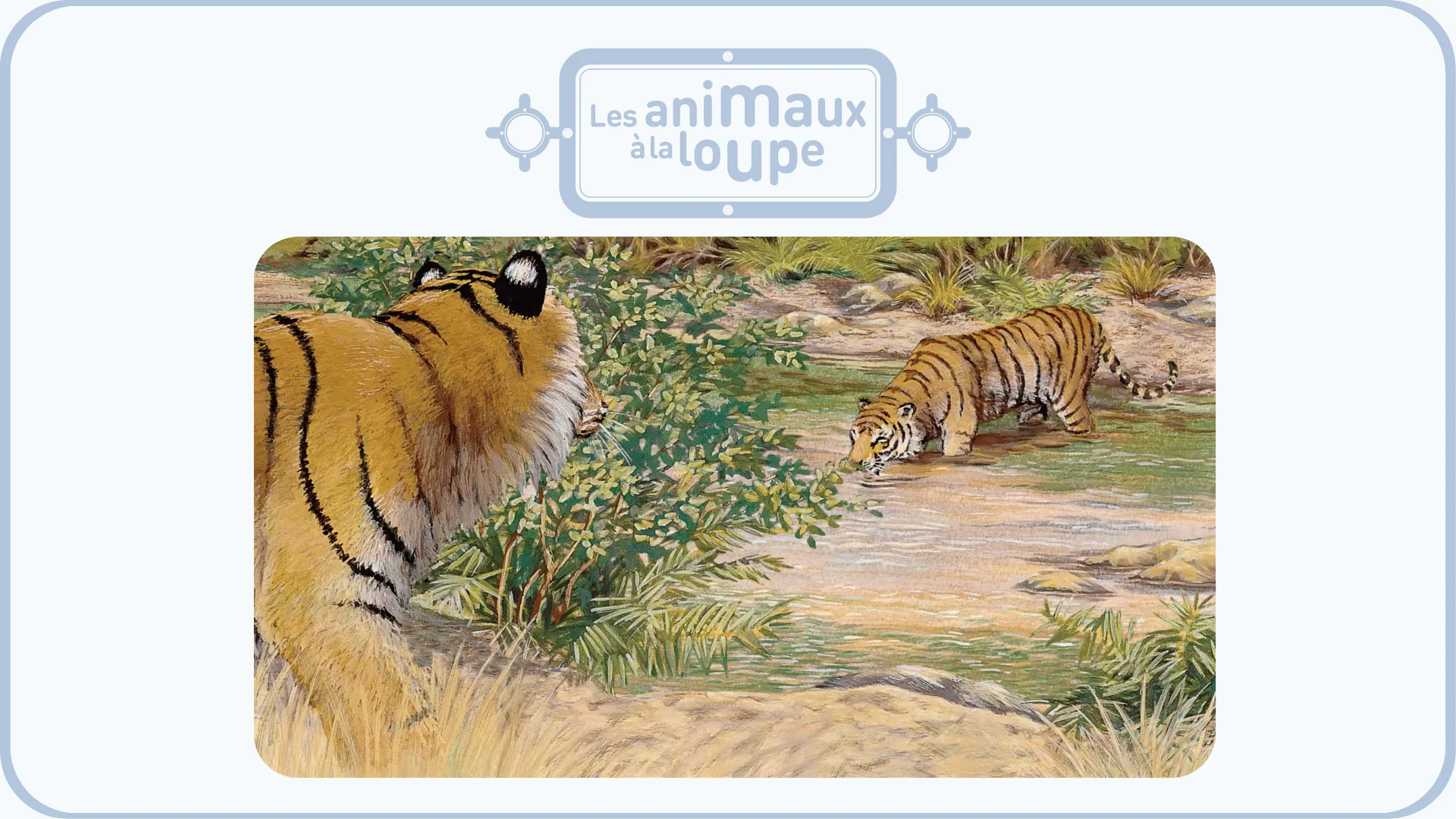 Miniature 5