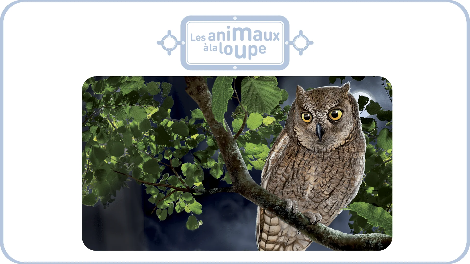Miniature 3