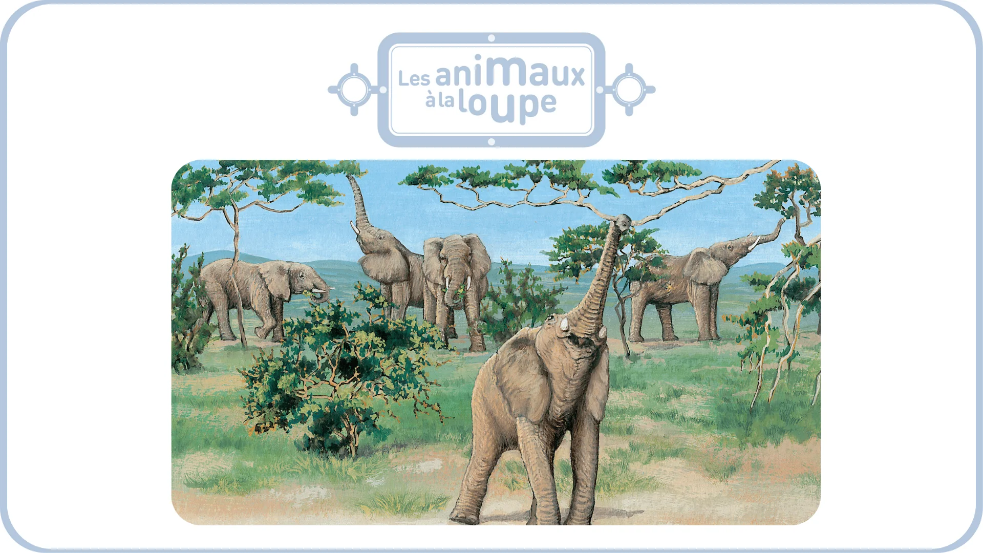 Miniature 6